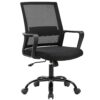 Ergonomic Swivel Office Chair with Lumbar Support (Black)