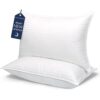 COZSINOOR Queen Size Bed Pillows: Set of 2 - Down Alternative Microfiber Filled