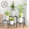 5-Pack Metal Plant Stands for Multiple Plants.