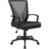 Furmax Office Chair with Lumbar Support, Ergonomic Mesh Swivel Desk Chair (Black)