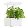 Hydroponic Indoor Garden Kit - Matte White, Organic Seeds Included