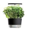 AeroGarden Harvest 360 Indoor Hydroponic Garden with LED Grow Light and Herb Kit