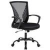 Ergonomic Mesh Office Chair with Lumbar Support - Black