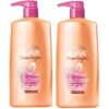 L'Oreal Paris Elvive Dream Lengths Shampoo and Conditioner Kit