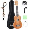 Soprano Ukulele for Beginners - Solid Mahogany 21 Inch Hawaiian Ukelele Kit with Natural Abalone Shell Decoration