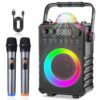 Amazmic Karaoke Machine with 2 Wireless Microphones, Portable Bluetooth Speaker with Disco Lights