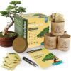 Bonsai Starter Kit - Gardening Gift for Men and Women