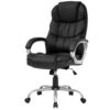 FDW High Back Adjustable Ergonomic Desk Chair with Armrests and Lumbar Support (Black)