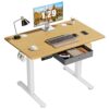 Electric Standing Desk with Drawers, Adjustable Height - 40 x 24 inch