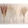Dried Pampas Grass Decor Set - 65PCS, Includes Pampas Floral, Reed Grass, Bunny Tails - Boho Wedding, Home Decoration