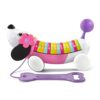 LeapFrog Alphapup Toy