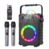 Karaoke Machine with Bluetooth Speaker, 2 Wireless Mics, LED Lights - for Adults & Kids