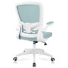 FelixKing Ergonomic Office Chair with Adjustable Height and Lumbar Support (Light Blue)
