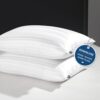 Goose Down Pillows Set of 2 for Sleepers, Queen Size