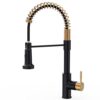 Black and Gold Kitchen Faucet with Pull Down Sprayer