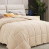 Down Comforter Queen Size All Season Quilted Comforter - Beige