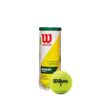 Wilson Championship Tennis Balls