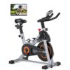 Indoor Cycling Bike with iPad Mount and Comfortable Seat Cushion