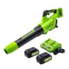 Greenworks 48V Cordless Brushless Axial Leaf Blower with Batteries and Charger