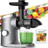 Aeitto Slow Masticating Juicer, Cold Press Jucier Machines, with Triple Modes,Reverse Function & Quiet Motor, Easy to Clean with Brush, Recipe for Vegetables And Fruits, Grey