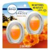 Febreze Small Spaces Air Freshener, Odor-Fighting, Plug In Alternative, Air Fresheners for Home and Bathroom and Kitchen, Closet Air Fresheners, Hawaiian Aloha Scent, 2 Count