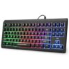 Rii Gaming Keyboard,87-Keys RGB Backlit Compact Office Keyboard,Silent Computer Keyboard for Working or Primer Gaming,USB Wired Keyboard for Laptop,PC,Windows,Mac