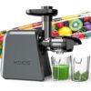 Cold Press Masticating Juicer Machine - 2-Speed & Reverse Function for Vegetables, Fruits, Celery | Quiet Motor, BPA-Free, Easy to Clean with Brush | Slow Juicer for Nutrient-Rich Juices