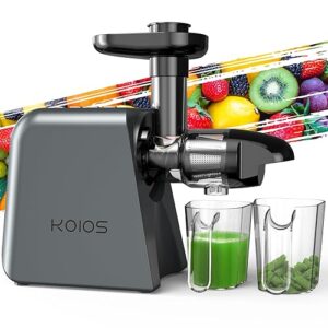 Cold Press Masticating Juicer Machine - 2-Speed & Reverse Function for Vegetables, Fruits, Celery | Quiet Motor, BPA-Free, Easy to Clean with Brush | Slow Juicer for Nutrient-Rich Juices