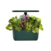AeroGarden Harvest 2.0, Indoor Garden Hydroponic System with LED Grow Light, Holds up to 6 AeroGarden Pods, Green