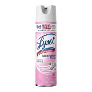 Lysol Disinfectant Spray, Sanitizing and Antibacterial Spray, For Disinfecting and Deodorizing, Early Morning Breeze, 1 Count, 19 fl oz each