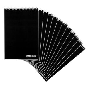 Amazon Basics Steno Books, Gregg Rule, Green Paper, 80 Sheets, 6" x 9", 12-Pack