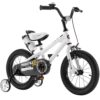 RoyalBaby Kids Bike EZ Freestyle Training Free Balance to Pedal Easy Learning Bicycle, 12-18 Inch for Toddlers to Big Kids